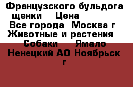 Французского бульдога щенки  › Цена ­ 35 000 - Все города, Москва г. Животные и растения » Собаки   . Ямало-Ненецкий АО,Ноябрьск г.